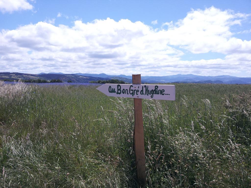 Au Bon Gre D'Hugoline Panzió Blanzac  Kültér fotó