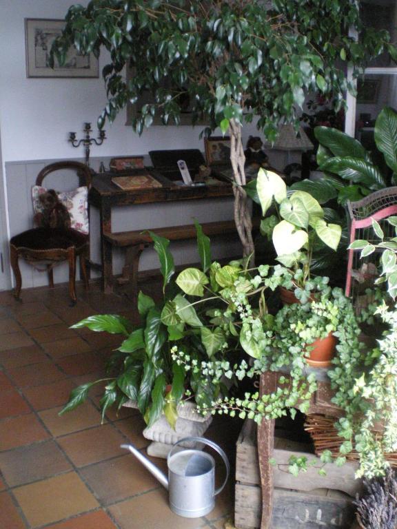 Au Bon Gre D'Hugoline Panzió Blanzac  Kültér fotó